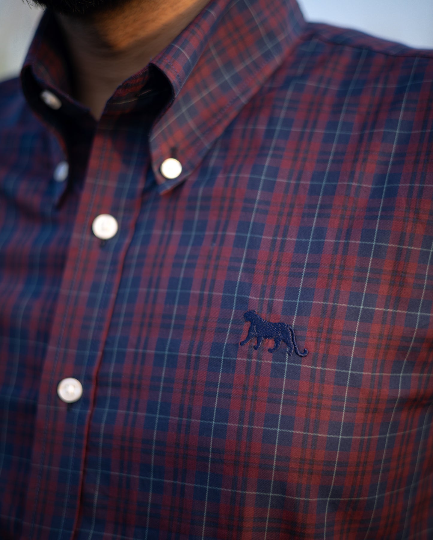 Regular Fitted Cotton Check Shirt